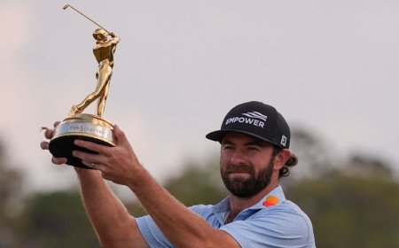 Young birdies 17, wins Players on Fitzpatrick miss